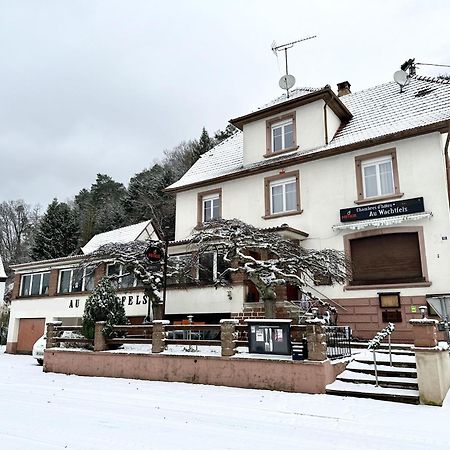 Bed and Breakfast Au Wachtfels Obersteinbach Экстерьер фото