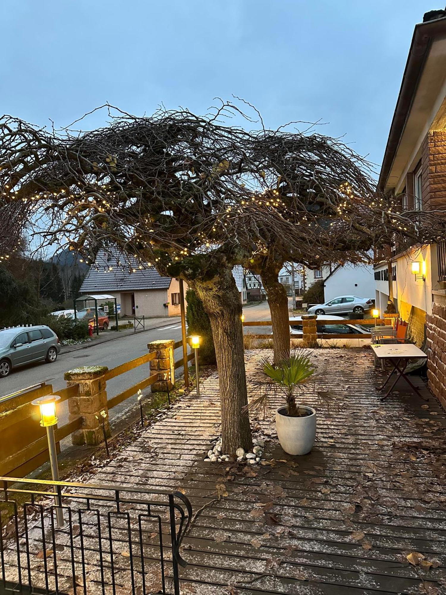 Bed and Breakfast Au Wachtfels Obersteinbach Экстерьер фото